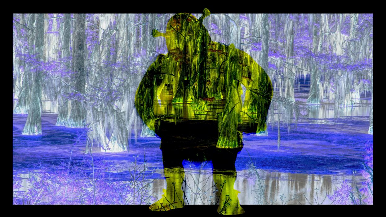 Don't Fall for the "Shrekking" Dating Trend